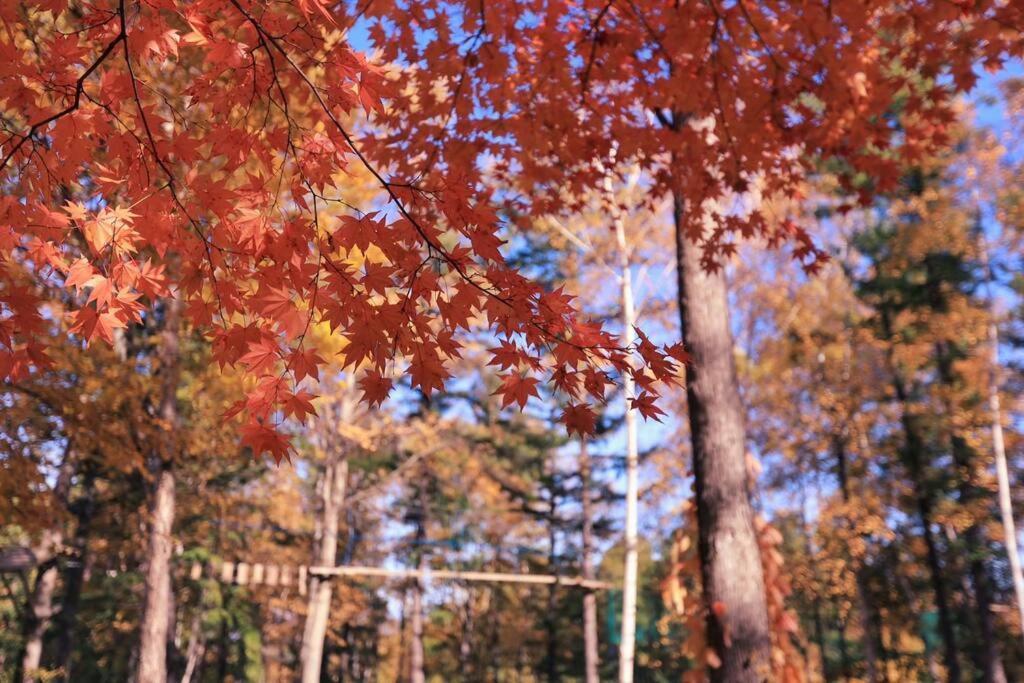Furano Cube Sugar-方糖民宿,步行8Min到雪场,3 Brs,Max 6Ppl Exteriör bild